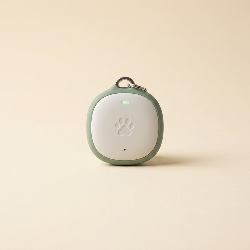 Tracker GPS per Collare